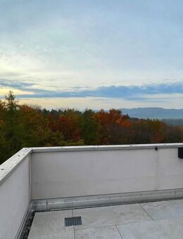 Exquisites Penthouse mit atemberaubendem Blick in Singen (Hohentwiel) - Singen (Hohentwiel)
