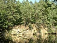 Waldgrundstück mit Teich im Kreis Bautzen - Vierkirchen (Sachsen)