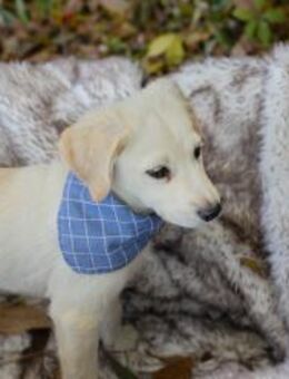 255619 - lustig drauf und immer Ideen - Overath