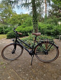 ✨️Neuwertig✨️ Panther Citybike 28 Zoll - Rüdersdorf (Berlin)