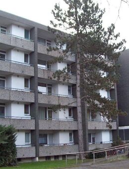 Aufgepasst! Apartment mit Balkon in Mg Schmöderpark demnächst frei - Mönchengladbach
