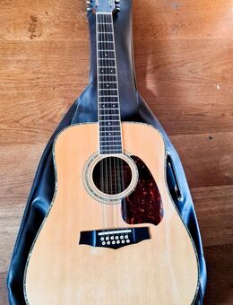 Gitarre Konzert von Ibanez/ V3-12 (12 Saiten) - Glashütten (Hessen)