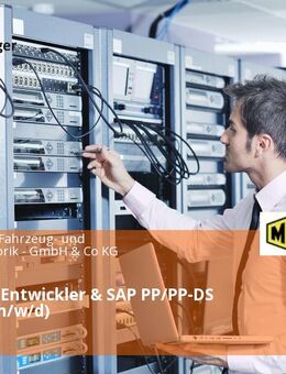 SAP ABAP Entwickler & SAP PP/PP-DS Berater (m/w/d) - München