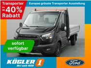 Ford Transit, Pritsche EK 350 L2 Trail 170PS, Jahr 2024 - Bad Nauheim