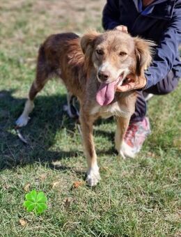 PATCH hofft auf ein Wunder 🍀♥️ - München