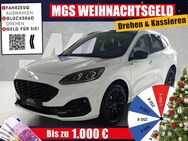 Ford Kuga, ST-Line X #DIESEL # #JUNGWAGEN, Jahr 2023 - Wunsiedel