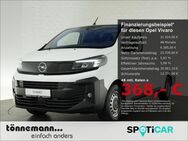 Opel Vivaro, C CARGO LANG, Jahr 2024 - Heiden