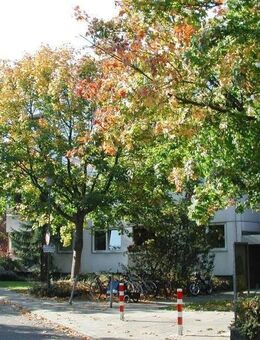 Sanierte Wohnung in Stadtnähe - Kiel