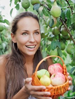 Traum Villa / Einfamilienhaus mit Doppelgarage in Traumlage Höchberg - Höchberg