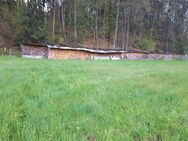 Brennholz gespalten - Krickenbach