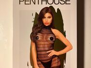 Enges Netzkleid für Frauen - Penthouse - Groß Zimmern