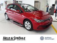 VW Golf, 1.5 TSI 8 Life APP, Jahr 2023 - Neu Ulm