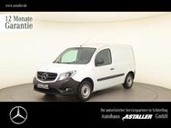 Mercedes-Benz Citan 111 CDI Kasten Regale+Werkstattausstattung - Schierling