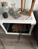 Hundebox nur Abholung in 32756