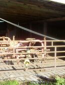 Offenstall / Weideschuppen zu verkaufen in 27232