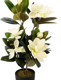 Kunstbaum Magnolienbusch, I.GE.A., Höhe 68 cm, im Kunststofftopf