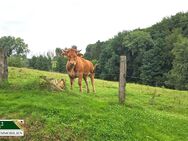 Exklusives Grundstück bei Burscheid neben Weiden und Wald mit Blick ins Grüne - Burscheid