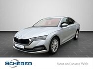 Skoda Octavia, 1.5 Lim eTSI Style, Jahr 2024 - Faid