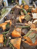 Stamm-Holz Kaminholz Hartholz Ofenholz Laubholz in 44289
