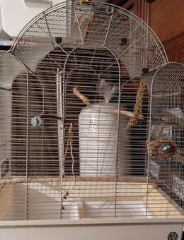 Vogelkäfig Memphis II - Platinum von Montana Cages Montana Cages - Wendelstein