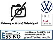 VW T-Cross, 1.0 TSI Style - 5 Jahres, Jahr 2024 - Lastrup