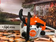 Stihl Motorsäge MS 162, Kettensäge mit 30 cm Schienenlänge - Petershagen