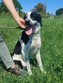 REZ 💙💙💙 ruhig und ausgeglichen - Herxheim (Landau)