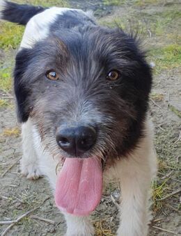 Oskar will die Welt entdecken - München