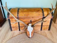Jagd Dekoration, antik, vintage, Jagdschloss, 8ender, Augenweide - Gundelsheim Zentrum