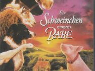 Ein Schweinchen namens Babe (VHS) - Dresden