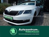 Skoda Octavia, 1.5 TSI III Combi Soleil, Jahr 2019 - Hiddenhausen