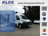 Fiat Ducato, 33 L2H2 KAWA 140 MJET REGAL SX-PAKET, Jahr 2021 - Dreieich