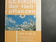 Lexikon der Heilpflanzen von Lange-Ernst, Maria-Elisabeth (Gebunden) - Essen