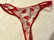 Getragene Pantie xoxo - Potsdam