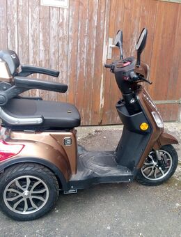 Econelo Elektromofa Mofaroller mit Gepäckablage Topcase - Wanzleben-Börde Seehausen