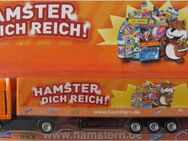 www. hamstern. de Nr. - Hamster Dich reich - Man - Sattelzug - Doberschütz