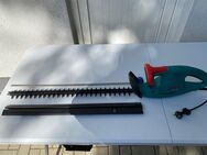 Bosch Heckenschere AHS 63-16 C 420W 630mm Gartenwerkzeug - Schwalmstadt