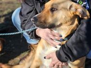 Sonja; endlich losleben - Geilenkirchen
