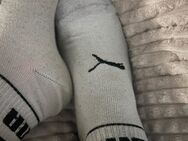 PUMA SOCKEN NUR FÜR DICH😈😈💋 - Heide