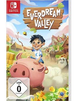 Everdream Valley Nintendo Switch