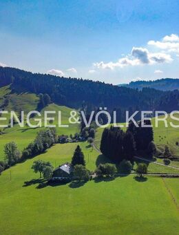 VERKAUFT! Alleinlage! Ehemalige Hofstelle im Grünen mit viel Platz und Potential - Stiefenhofen