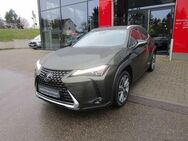 Lexus UX 250h Luxury Line Navi/Leder/4x4 - Nürtingen