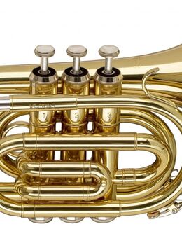 Taschentrompete von Stagg - Ellwangen (Jagst) Zentrum