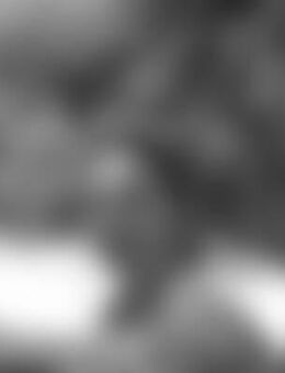 mil*** - Markneukirchen