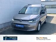 VW Caddy, 2.0 TDI Life, Jahr 2024 - Torgau