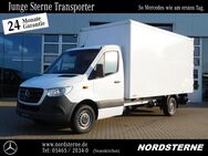 Mercedes Sprinter, 316 KOFFER MBUX PORTALTÜREN, Jahr 2019 - Neuenkirchen (Landkreis Osnabrück)