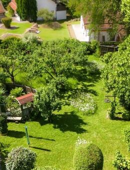 Frei gestalten - Alles ist möglich! Großes EFH oder zwei Wohnungen - Eigener Park oder Bauplatz! - Spiegelau