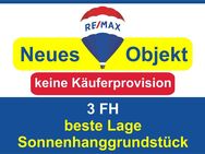 Keine Käuferprovision! Kaufen Sie ab € 999,- mtl.*/ 3 FH/ neue Heizung**& Sonnenhanggrundstück - Freudenberg (Baden-Württemberg)