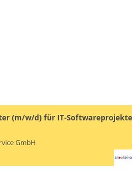 Scrum Master (m/w/d) für IT-Softwareprojekte - Kassel