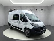 Fiat Ducato, Kasten 35 L2H2 Vorb Berganfahrass, Jahr 2023 - Rutesheim